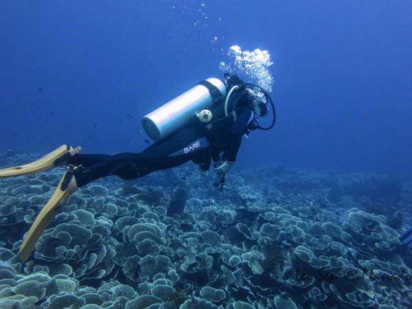 高全功:齐鲁大地最美乡村振兴人丨2023年度三农人物候选人